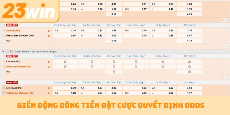 Biến động dòng tiền đặt cược quyết định odds