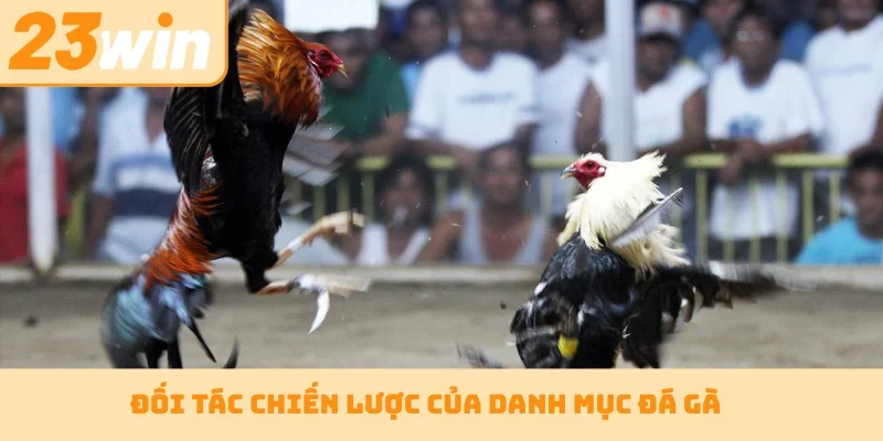 Đối tác chiến lược của danh mục đá gà