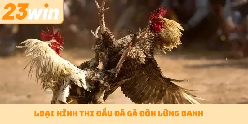 Loại hình thi đấu đá gà đòn lừng danh