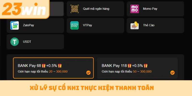 Xử lý sự cố khi thực hiện thanh toán